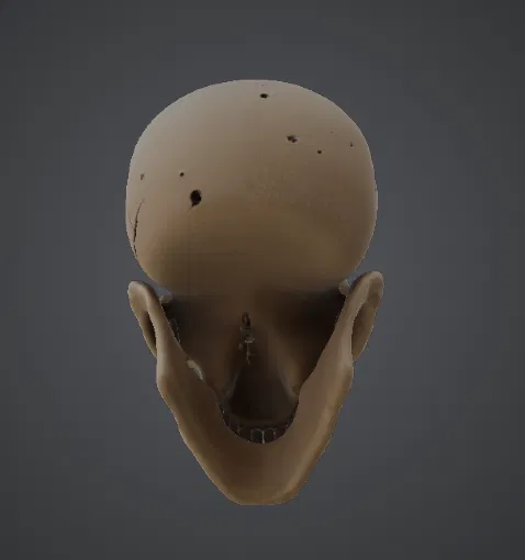 Mô hình hộp sọ 3D (Skull) chi tiết cao - Phụ kiện trang trí độc lạ - Image 2