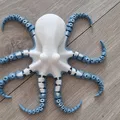 Mô hình bạch tuộc khớp nối linh hoạt in liền khối (Articulated flexi octopus) - Thumbnail 2
