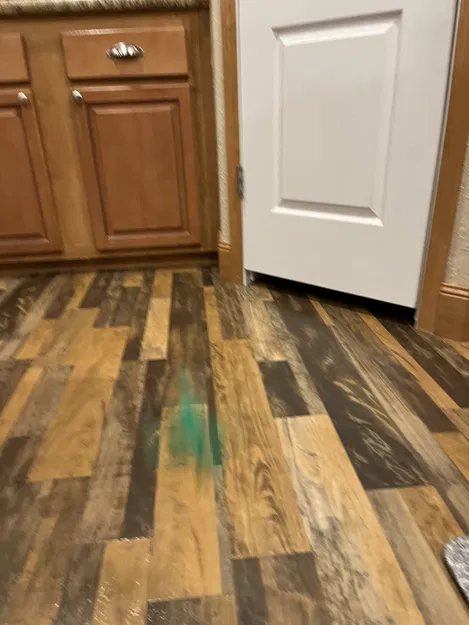 Mô hình 3D chú ếch nhảy đáng yêu (Jumping Frog) cho bé - Image 6