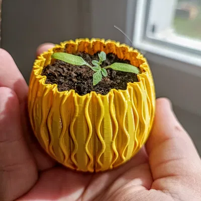 Chậu hoa Easter (Easter pot)