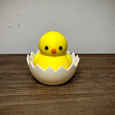 Chick-In-Egg - Chú gà con trong vỏ trứng