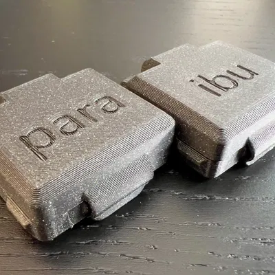 Hộp đựng nút bịt tai (Earplug Case) in 3D nhỏ gọn tiện lợi