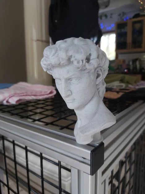 Tượng David - Đã sửa lỗi và cắt sẵn để in tối ưu nhất - Image 2