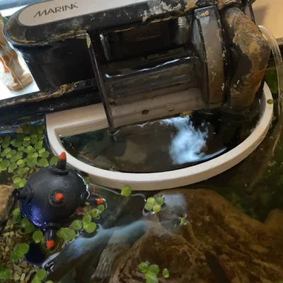 Bộ chắn dòng chảy máy lọc thác - Bảo vệ cá và tép nhỏ an toàn