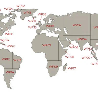 Bản đồ thế giới trang trí treo tường