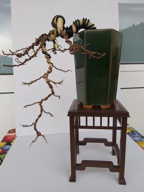 Bộ đôn kệ trưng bày Bonsai phong cách Á Đông tinh tế - Image 3
