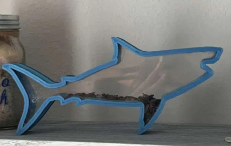 Giá trưng bày răng cá mập hình cá mập - Image 2
