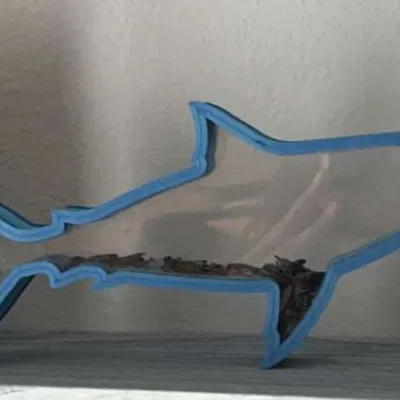 Giá trưng bày răng cá mập hình cá mập