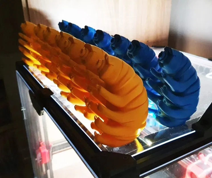 Tardigrade - Mô hình chú gấu nước siêu bền - Image 2