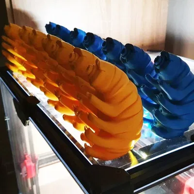 Tardigrade - Mô hình chú gấu nước siêu bền