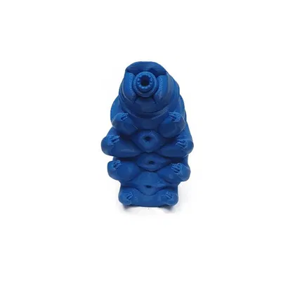Tardigrade - Mô hình chú gấu nước siêu bền
