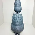 Chú Cú Con Ngái Ngủ (Sleepy Owl) - Thumbnail 1