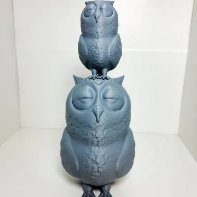 Chú Cú Con Ngái Ngủ (Sleepy Owl)