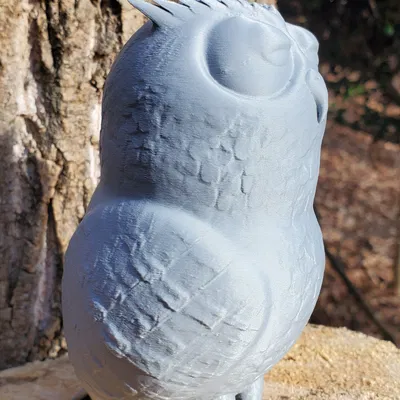 Chú Cú Con Ngái Ngủ (Sleepy Owl)
