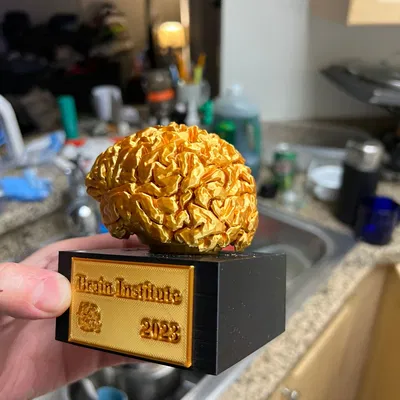 Cúp Não (Brain Trophy)
