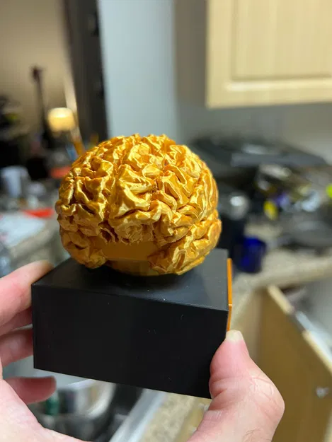 Cúp Não (Brain Trophy) - Image 2