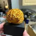 Cúp Não (Brain Trophy) - Thumbnail 2