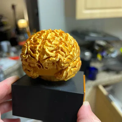 Cúp Não (Brain Trophy)