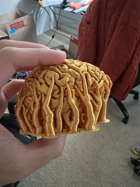 Cúp Não (Brain Trophy) - Image 3