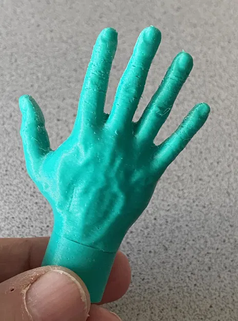 Bàn tay (phải) - Image 1