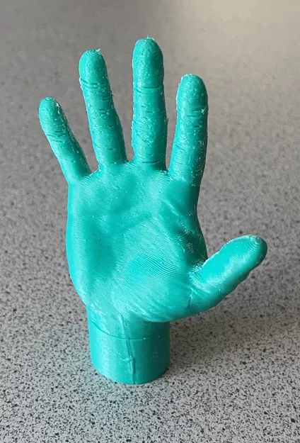 Bàn tay (phải) - Image 2