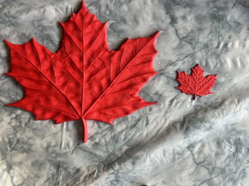 Mô hình chiếc lá phong (Maple Leaf) chi tiết cực đẹp cho in 3D - Image 1