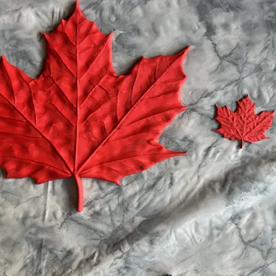 Mô hình chiếc lá phong (Maple Leaf) chi tiết cực đẹp cho in 3D