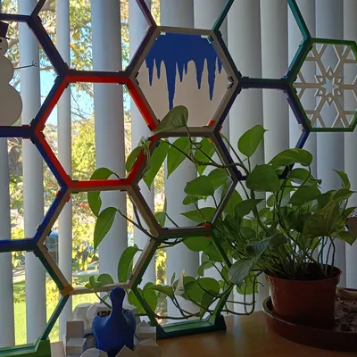 Giàn leo/Thang cây lục giác lắp ghép thông minh