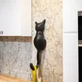 Móc Treo Tường Hình Mèo (Đã bao gồm giá treo) - Thumbnail 4