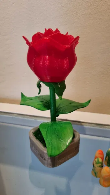 Mô hình hoa hồng lắp ráp (Rosa per Sant Jordi) làm quà tặng - Image 4