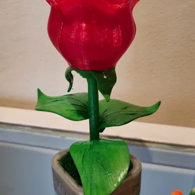 Mô hình hoa hồng lắp ráp (Rosa per Sant Jordi) làm quà tặng