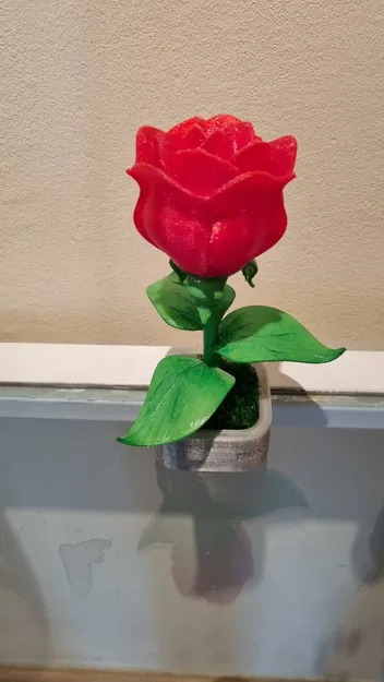Mô hình hoa hồng lắp ráp (Rosa per Sant Jordi) làm quà tặng - Image 5