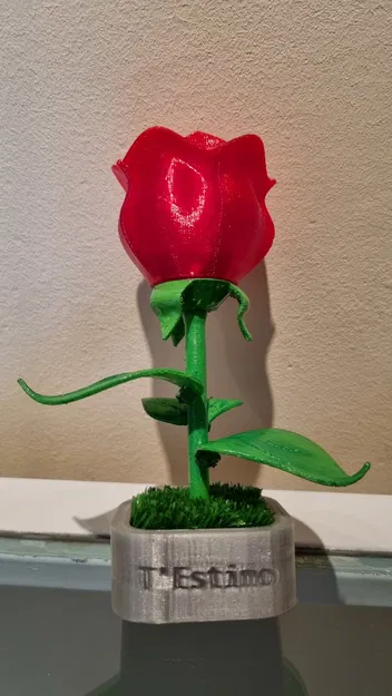 Mô hình hoa hồng lắp ráp (Rosa per Sant Jordi) làm quà tặng - Image 6