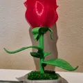 Mô hình hoa hồng lắp ráp (Rosa per Sant Jordi) làm quà tặng - Thumbnail 6