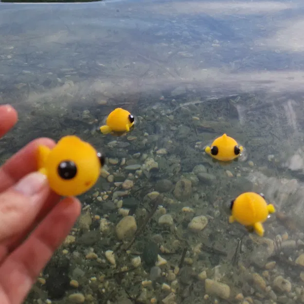 Chú Cá Dễ Thương (Cute Fish) – Đồ Chơi Biển Cả - Image 5