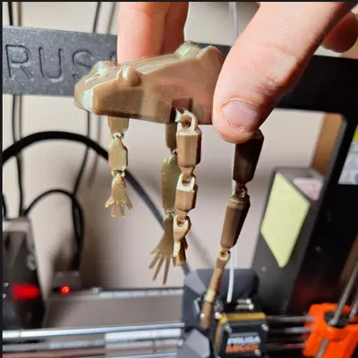 Flexy Frog - Mô hình ếch khớp nối linh hoạt với tay chân cử động được