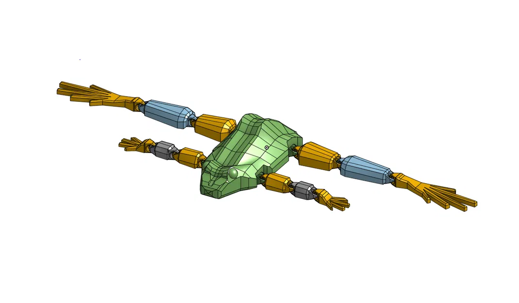 Flexy Frog - Mô hình ếch khớp nối linh hoạt với tay chân cử động được - Image 2