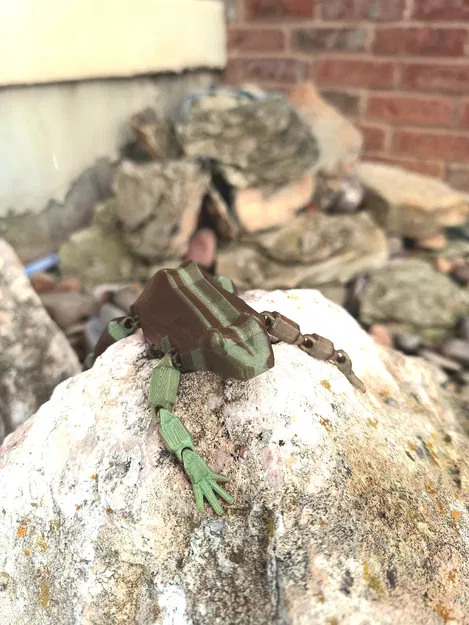 Flexy Frog - Mô hình ếch khớp nối linh hoạt với tay chân cử động được - Image 4