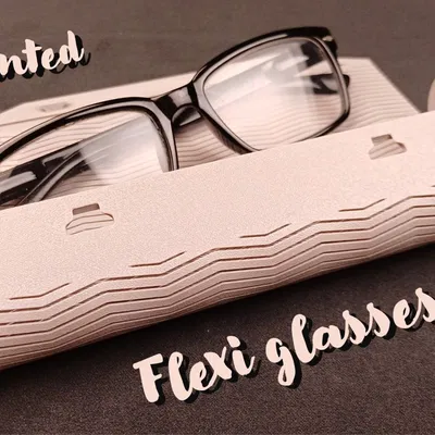 Hộp đựng kính Flexi