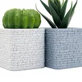Chậu trồng cây vân đá (Stone Wall Planter) in 3D đẹp mắt - Thumbnail 1