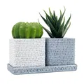 Chậu trồng cây vân đá (Stone Wall Planter) in 3D đẹp mắt - Thumbnail 3