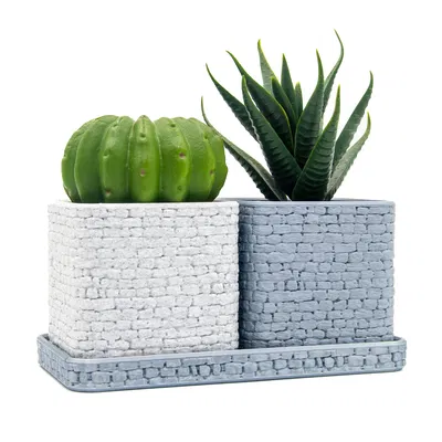 Chậu trồng cây vân đá (Stone Wall Planter) in 3D đẹp mắt