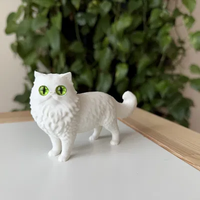 Mô hình Mèo Ba Tư (Persian Cat) 3D sống động