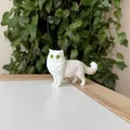 Mô hình Mèo Ba Tư (Persian Cat) 3D sống động - Thumbnail 2
