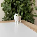 Mô hình Mèo Ba Tư (Persian Cat) 3D sống động - Thumbnail 3