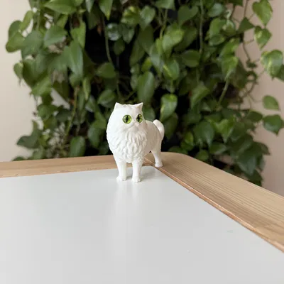 Mô hình Mèo Ba Tư (Persian Cat) 3D sống động