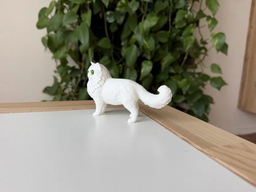 Mô hình Mèo Ba Tư (Persian Cat) 3D sống động - Image 4