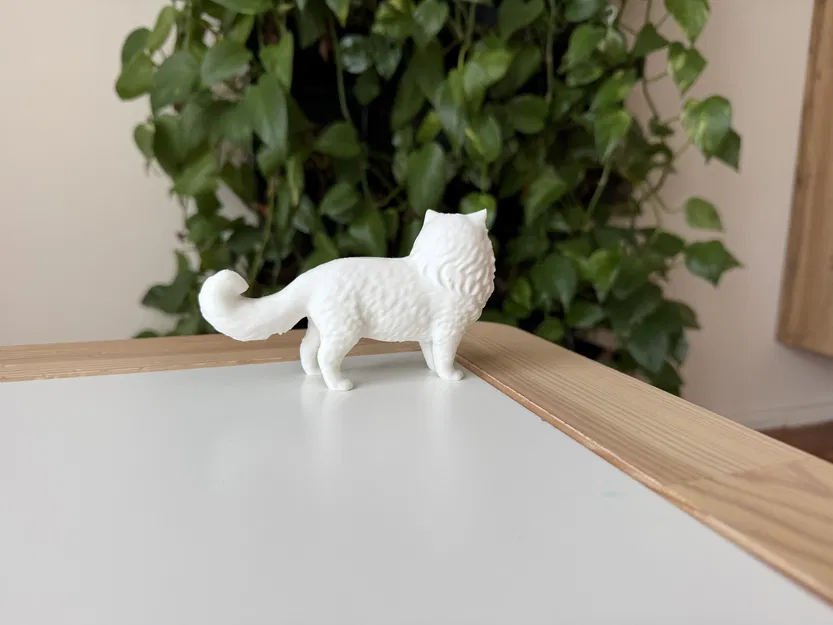 Mô hình Mèo Ba Tư (Persian Cat) 3D sống động - Image 5