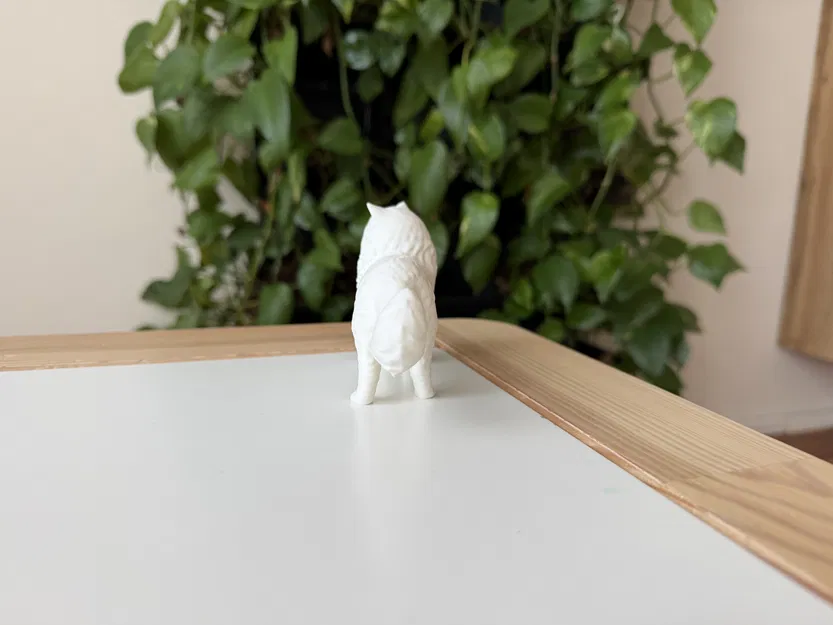 Mô hình Mèo Ba Tư (Persian Cat) 3D sống động - Image 6