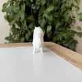 Mô hình Mèo Ba Tư (Persian Cat) 3D sống động - Thumbnail 6